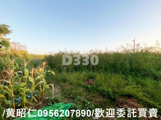 台南七股建地-4