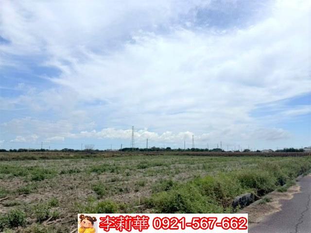 台南鹽水農地-7