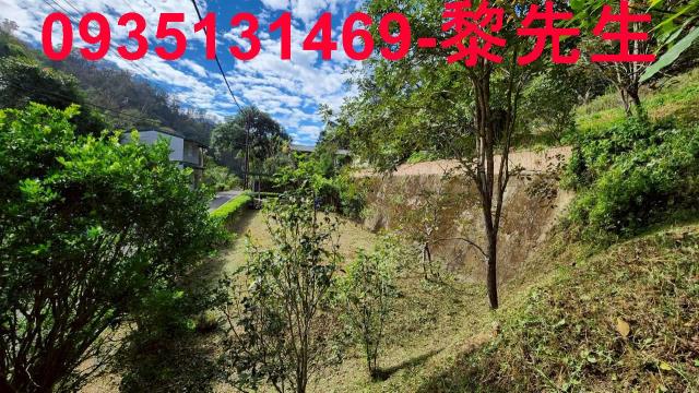 新竹北埔農地-3