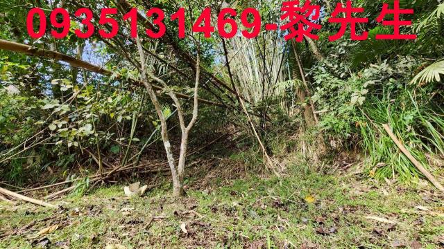 新竹北埔農地-4