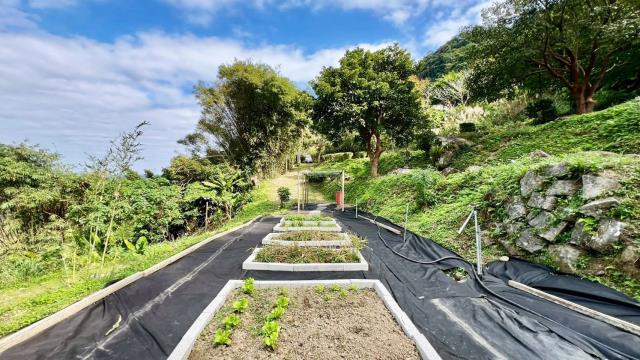 新竹橫山農地-13