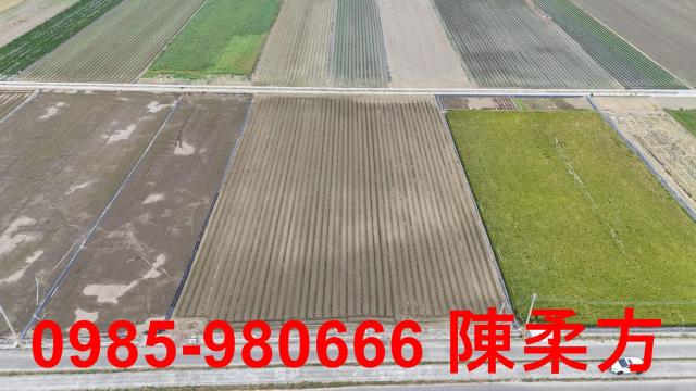 嘉義水上農地-8