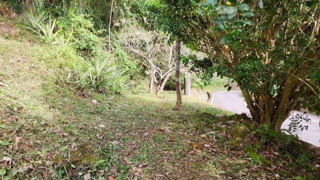 新竹北埔農地-8