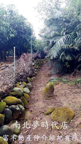 台南楠西農地-1