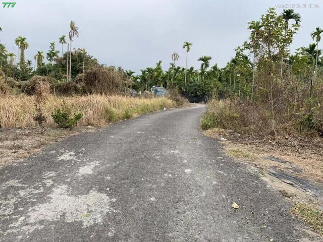 屏東高樹農地-7