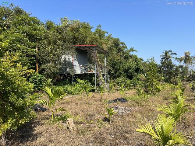 高雄旗山農地-2