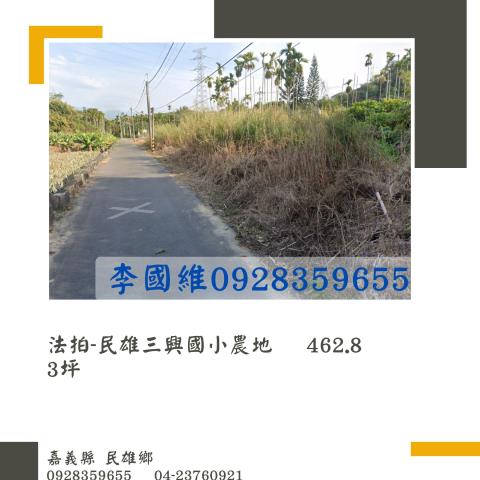 嘉義民雄法拍農地-1