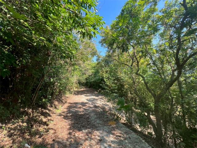 高雄旗山農地-12