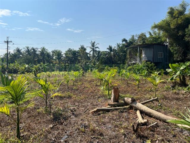 高雄旗山農地-9