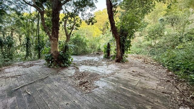 新竹關西農地-15