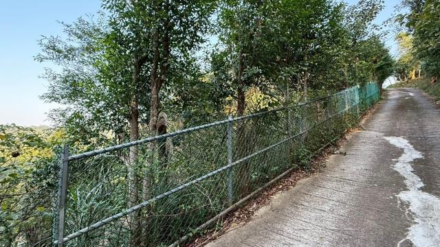 新竹關西農地-2