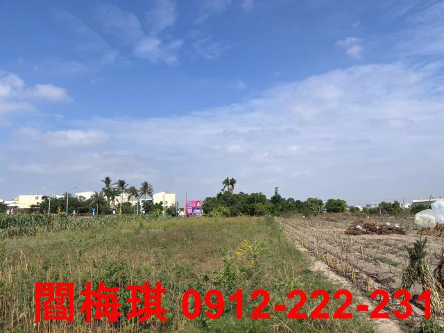 西港農地-2