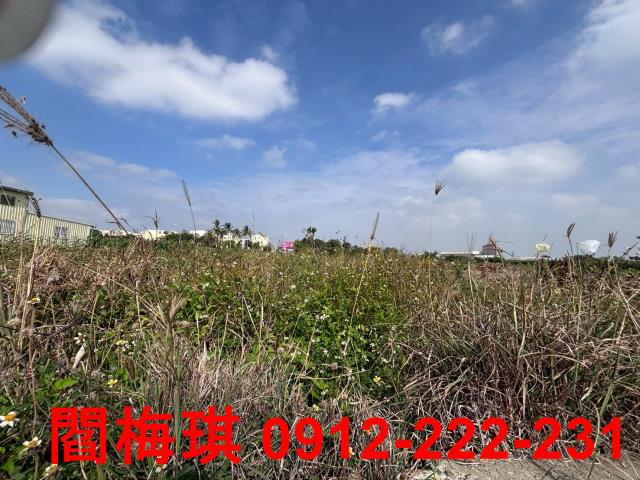 西港農地-4
