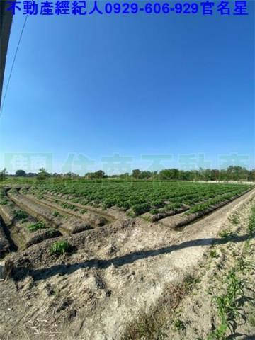嘉義農地-4