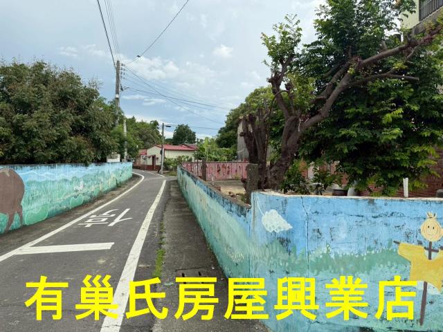 嘉義朴子農地-9