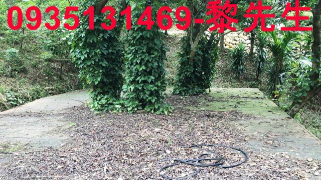 新竹關西農地-10