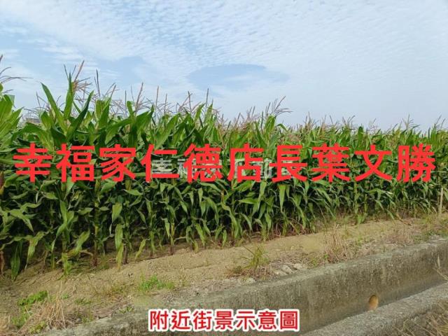 台南西港農地-11