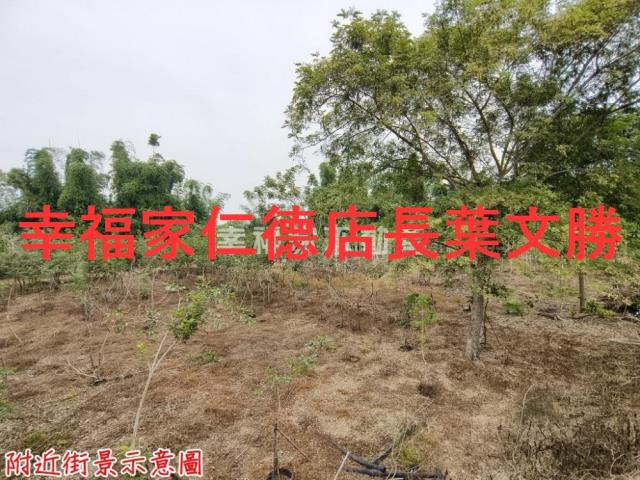 台南新市農地-3