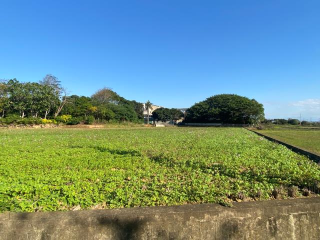新屋農地-5