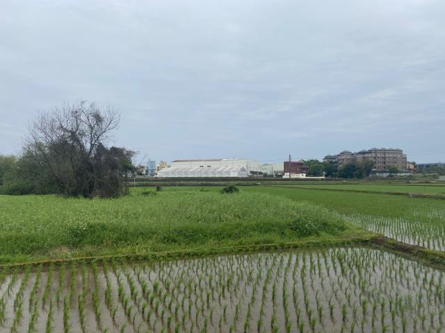 桃園農地-4