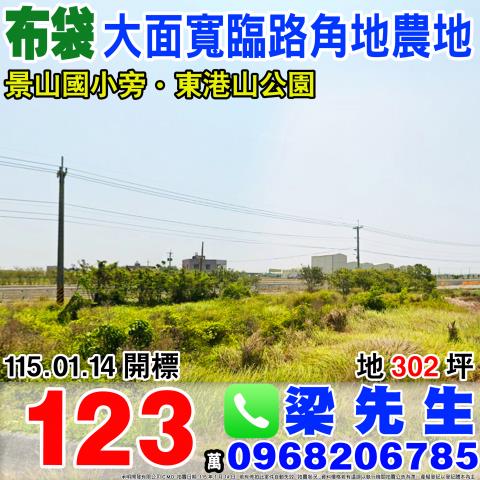 嘉義布袋法拍農地-1