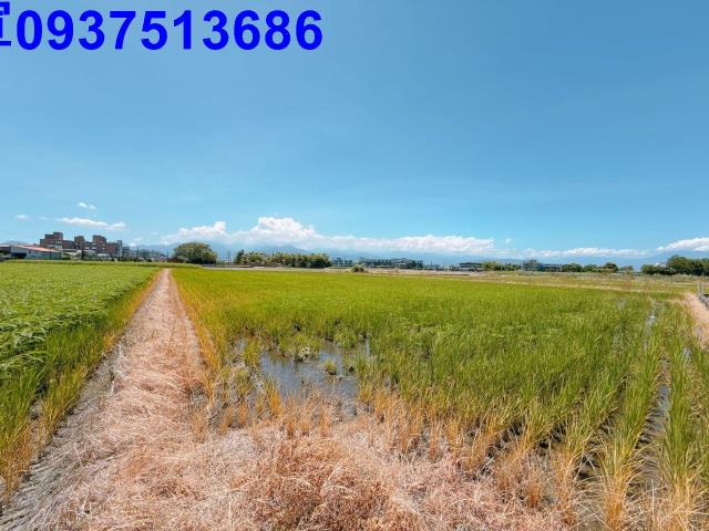 宜蘭五結農地-5