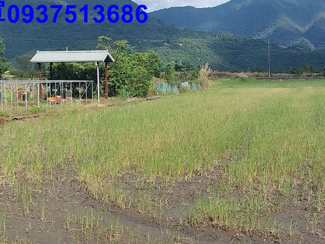 宜蘭三星農地-2