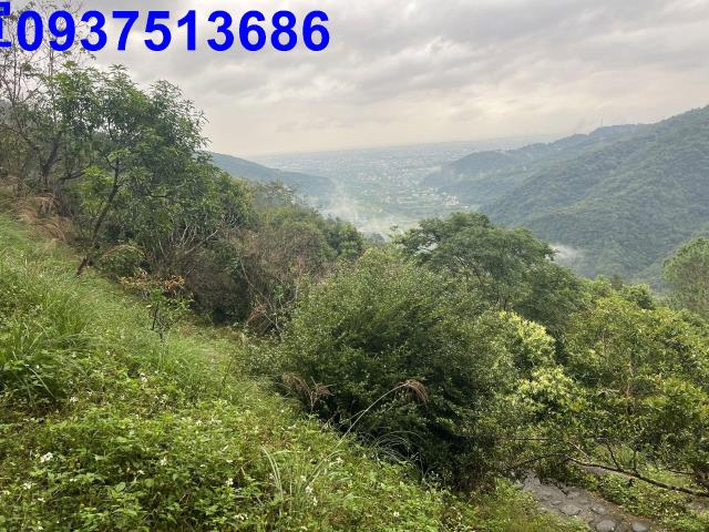 宜蘭礁溪農地-12