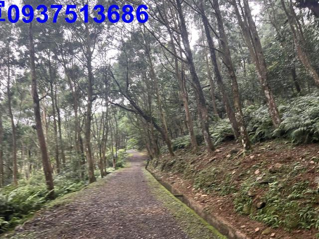 宜蘭礁溪農地-13