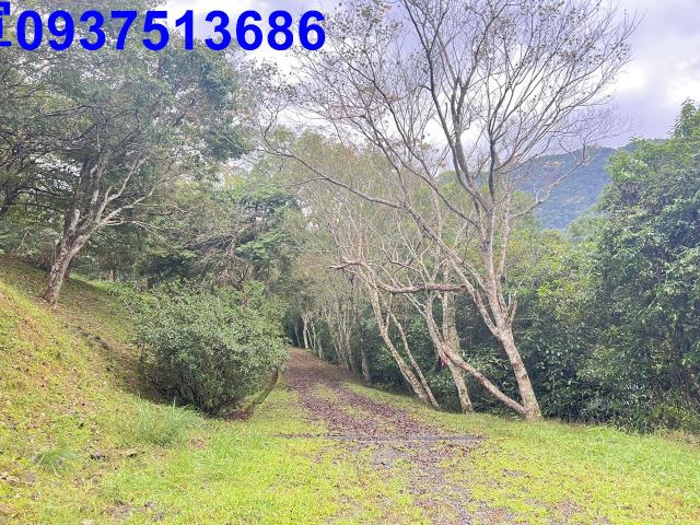 宜蘭礁溪農地-14