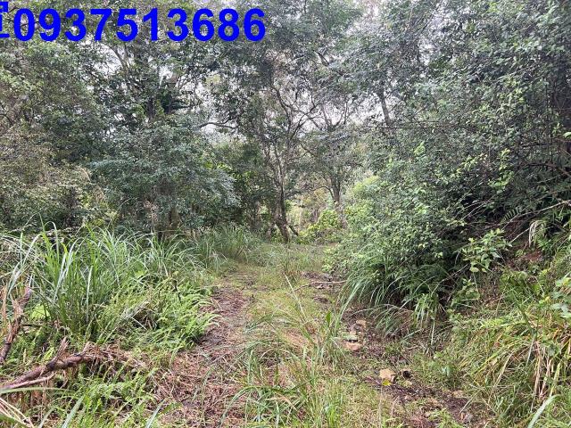 宜蘭礁溪農地-4