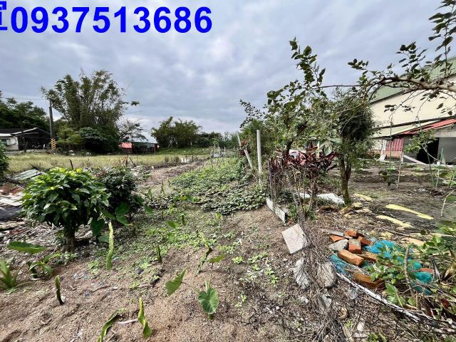 宜蘭壯圍農地-11