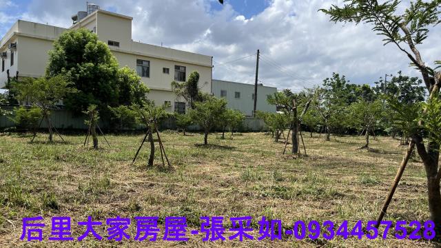 農地目前種植的農作物