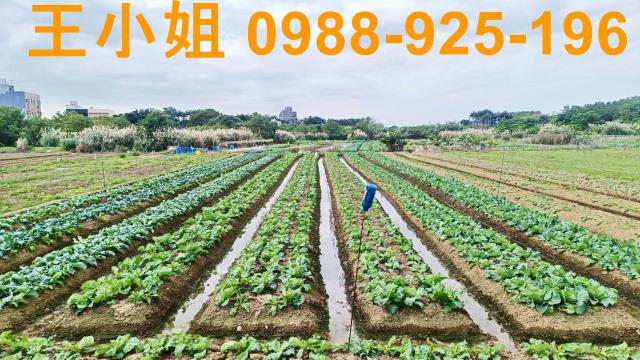 桃園農地-1