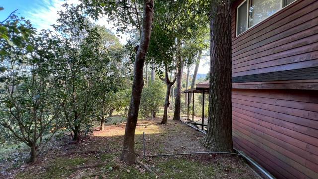 新竹峨眉山坡地-11