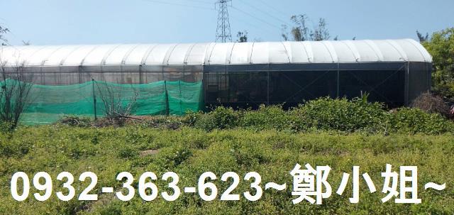 苗栗通霄農地-12