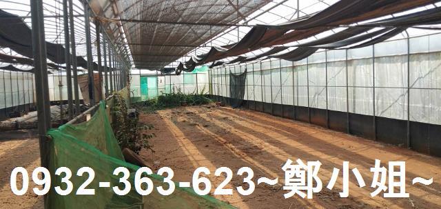 苗栗通霄農地-5