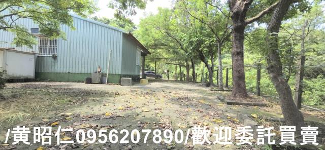 台南左鎮農地-6