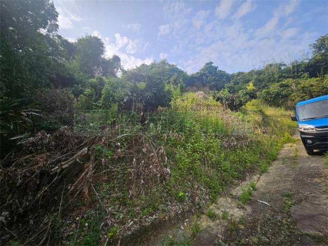 高雄大樹農地-2