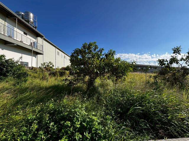 台中神岡農地-3