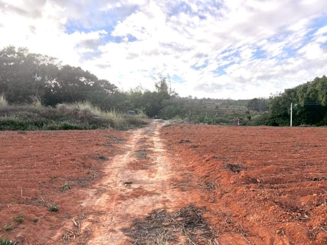 台中大雅農地-5