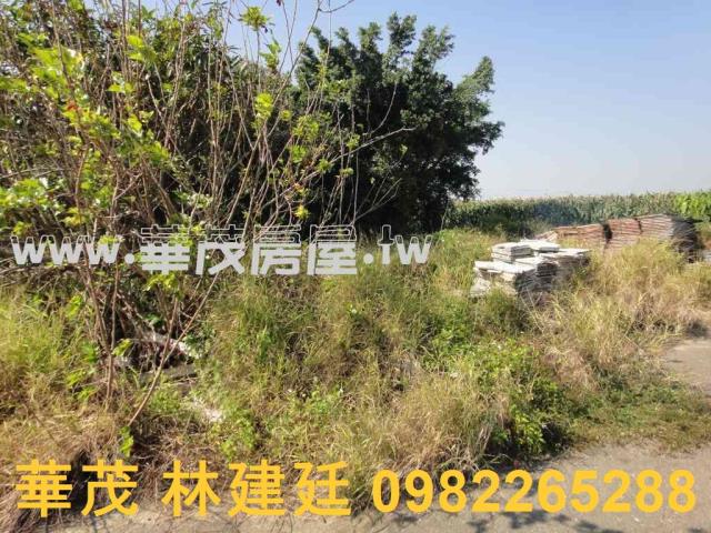 將軍法拍農地-11