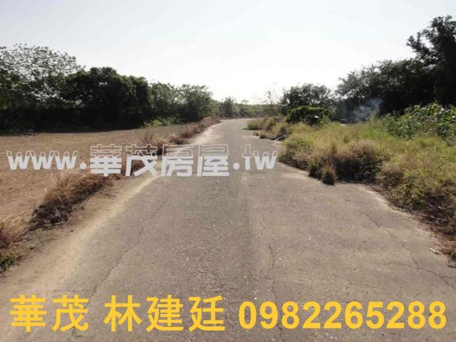 將軍法拍農地-2