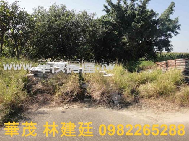 將軍法拍農地-5