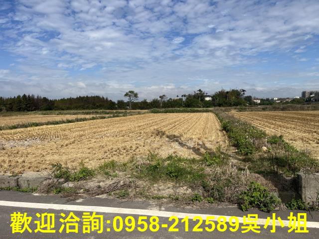 新竹農地-8