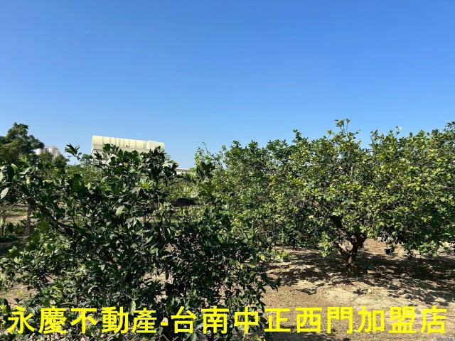 台南麻豆農地-14