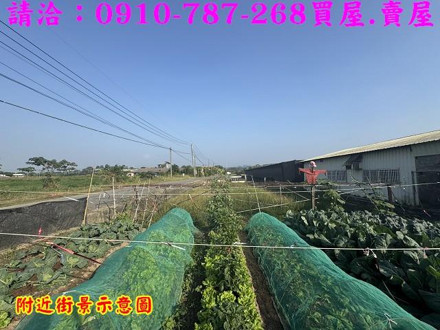 台南柳營農地-15