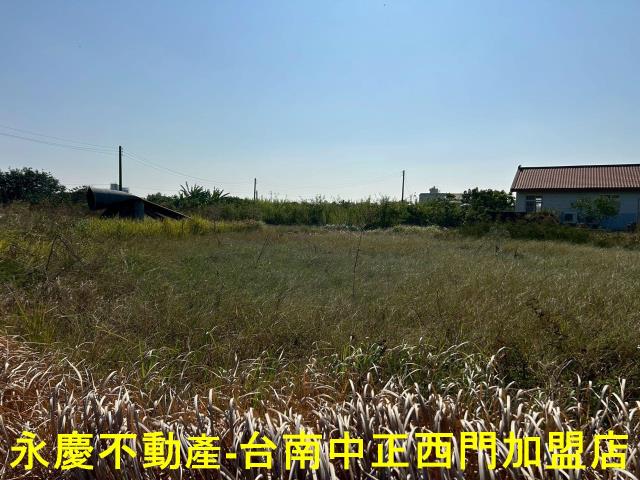 台南麻豆農地-5