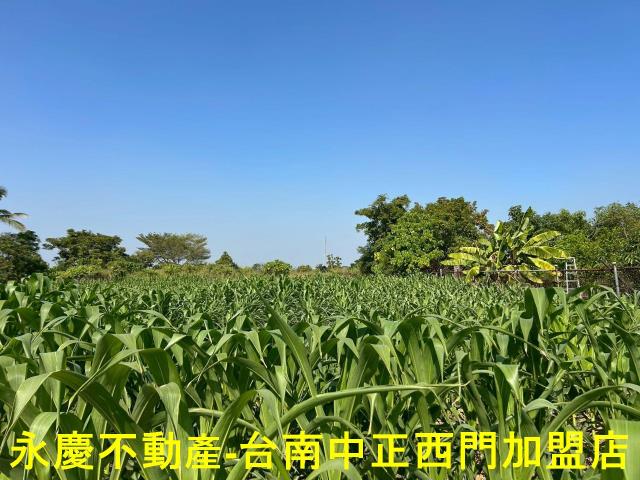 台南新化農地-6