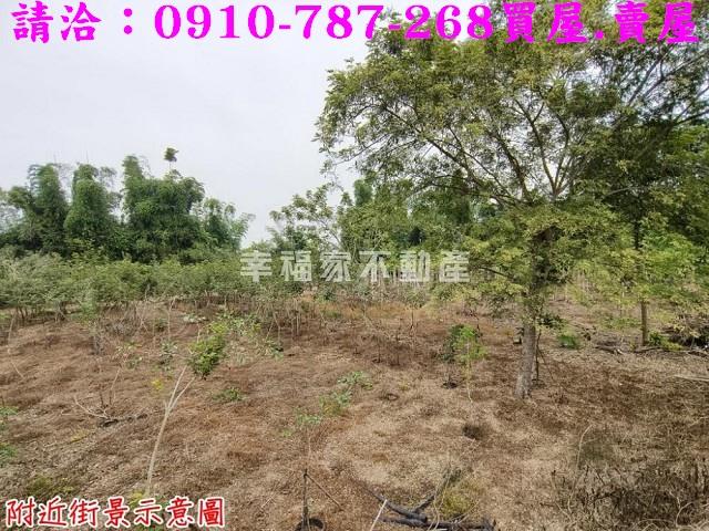 台南新市農地-11